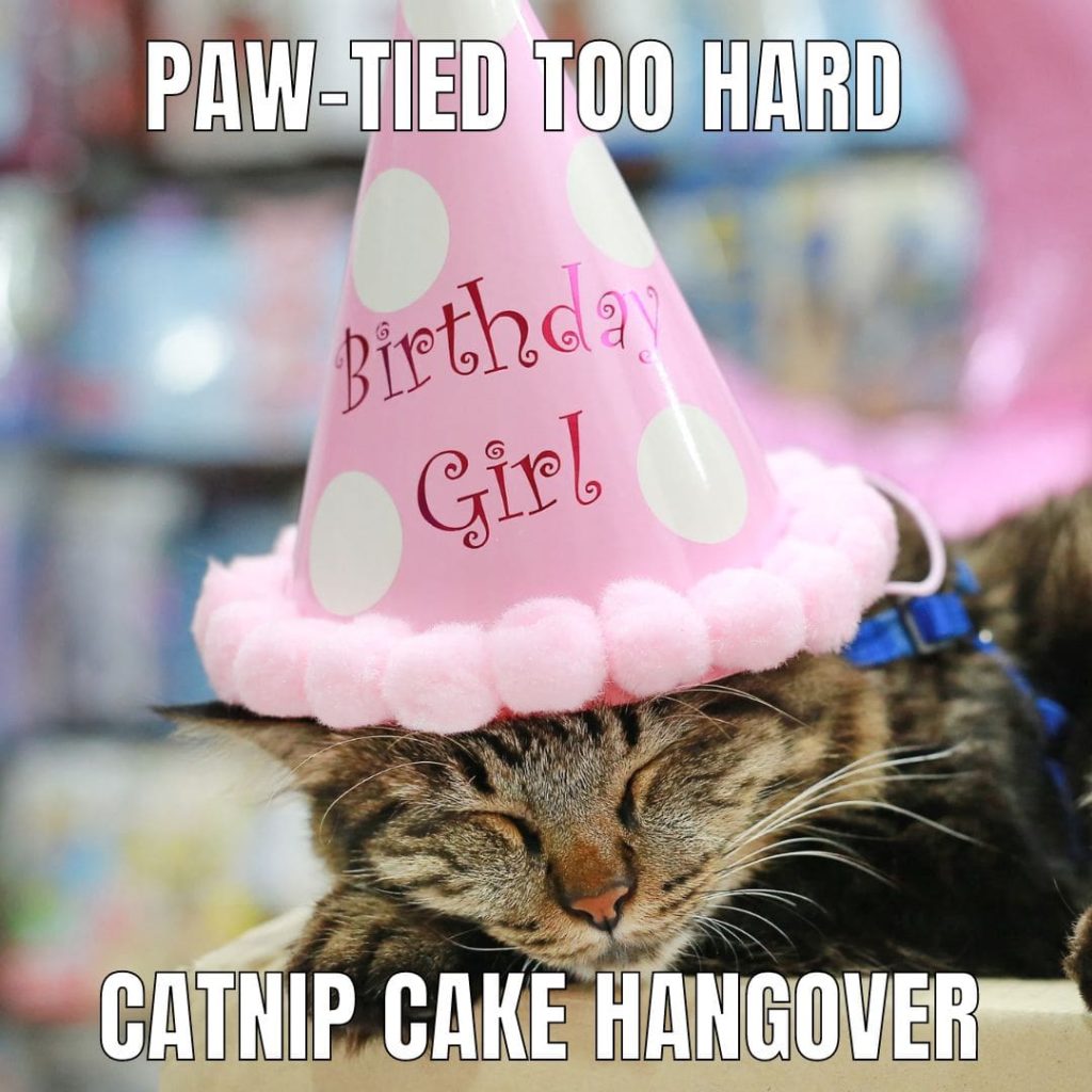 too many cupcakes