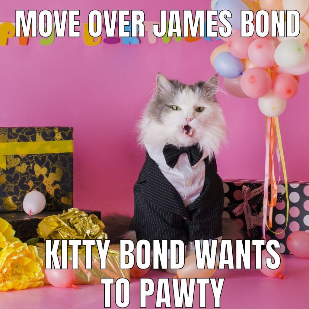 james bond cat