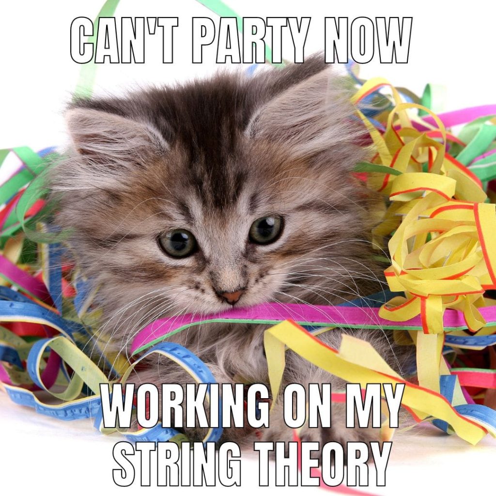 pun cat party