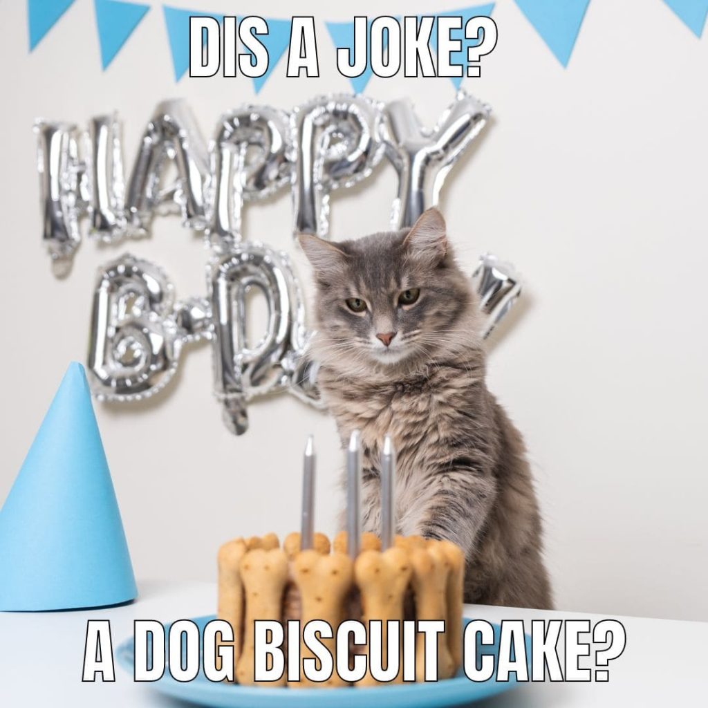 cat with dog cake