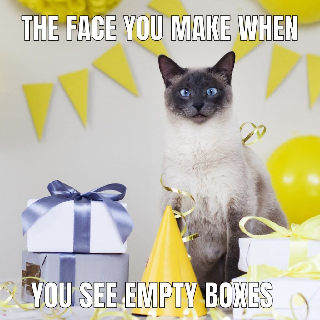 cat box party