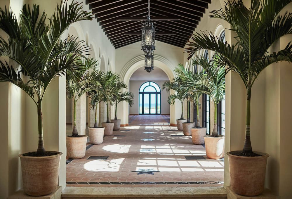 Beautiful four seasons cat friendly hotel