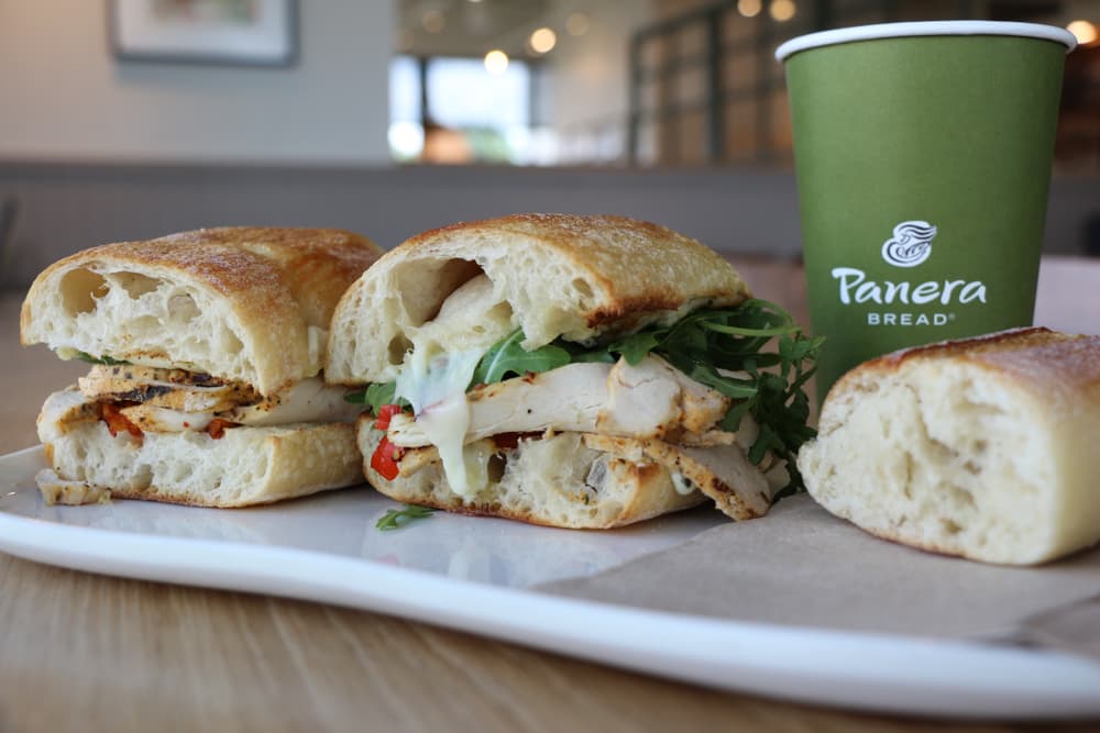 Close up of panera bread sandwich