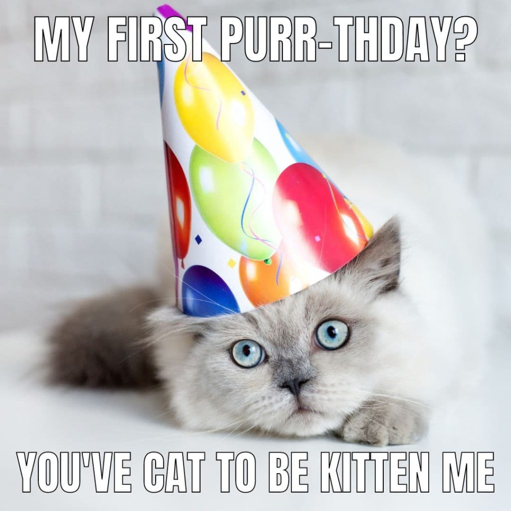 kitty party