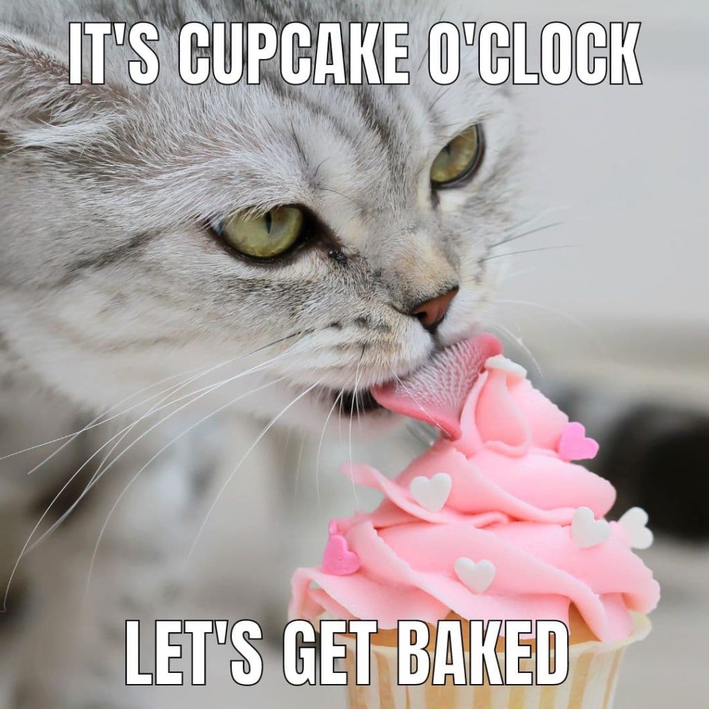 cake with treat