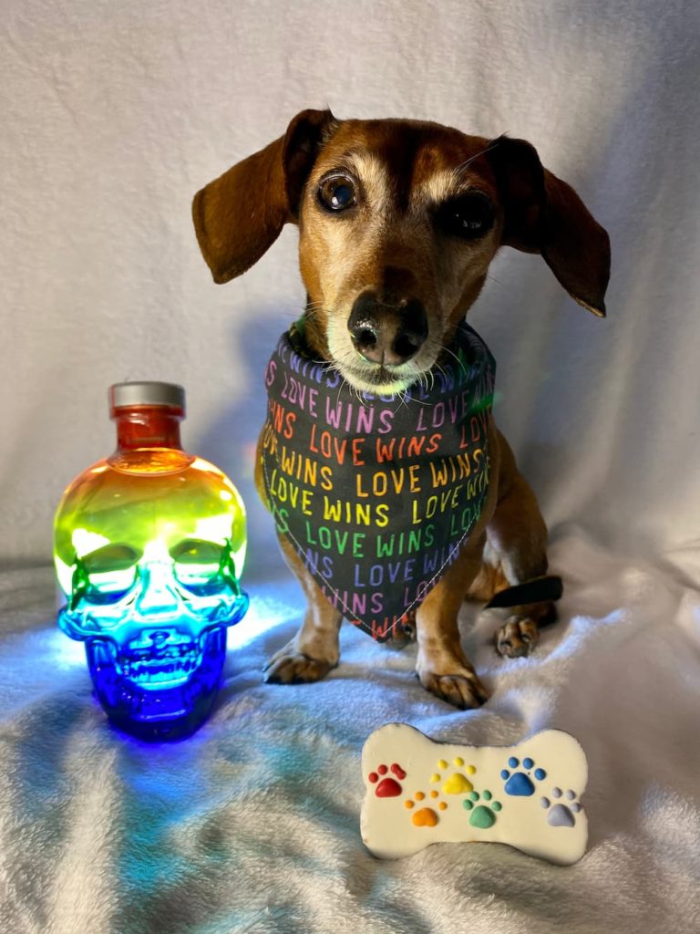 skulls pride