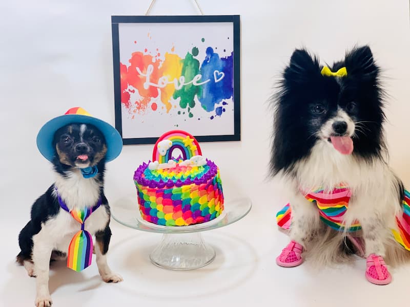 two dogs for pride