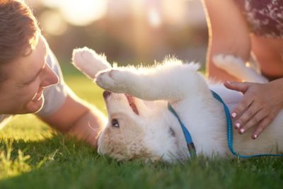 Quiz: What Type of Pet Parent Are You?