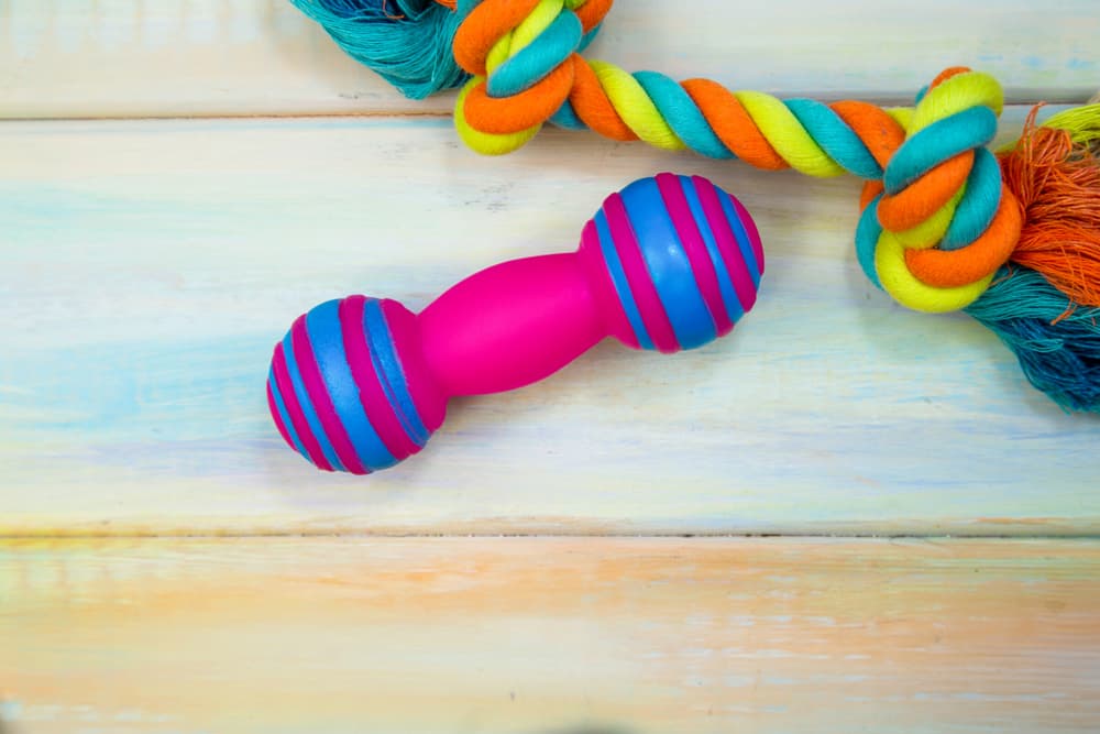 dog chew toy and rope toy