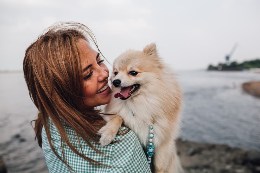 Dog happy with owner