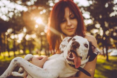 36 Dog Loyalty Quotes for Faithful Companions