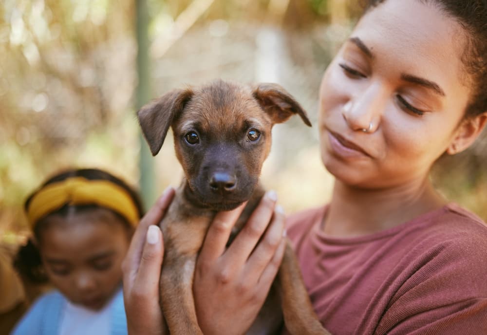 Woman holding adopted puppy