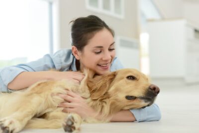 3 Reasons Dogs Like to Be Pet