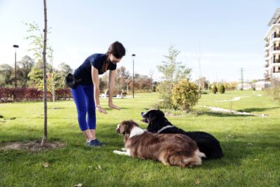 24 Best Dog Training Quotes to Inspire Progress